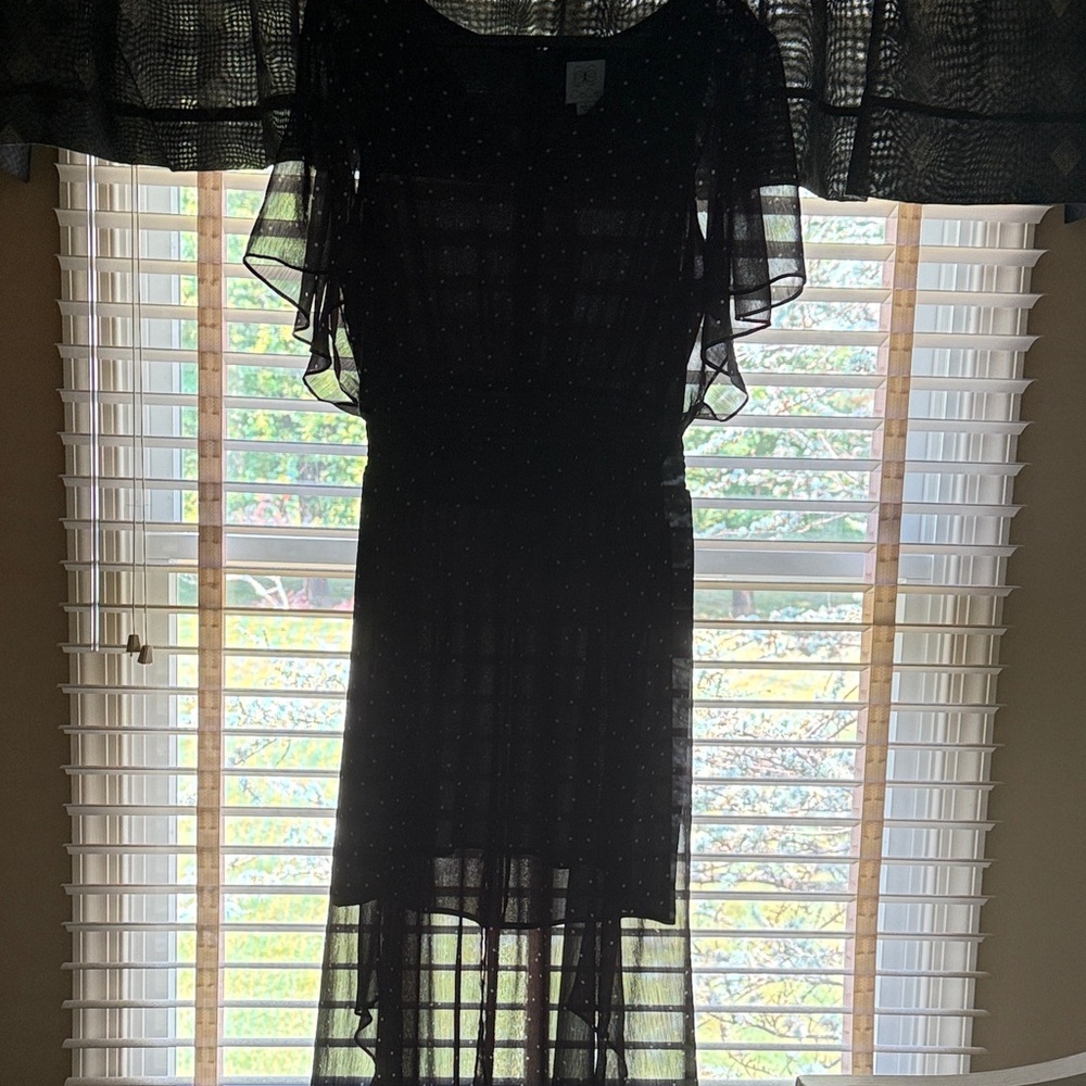 CeCe Black Sheer Maxi Dress with Flutter Sleeves
